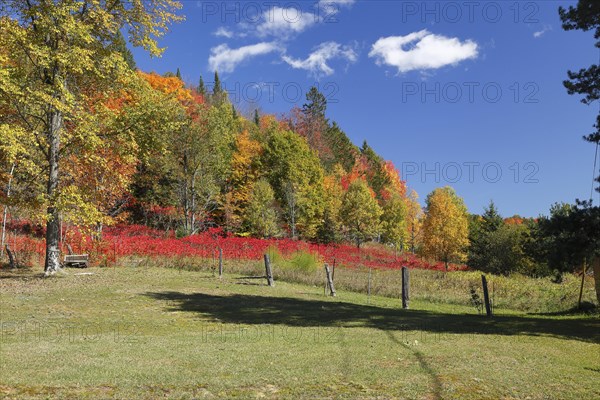 Autumn landscape in the Red River Region