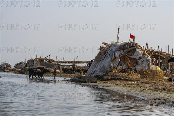 Reed house of Marsh Arabs