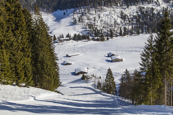 Finish slope of the Gruensee downhill run