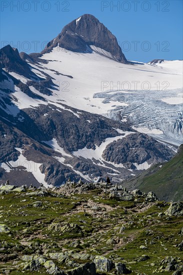 Gries Glacier