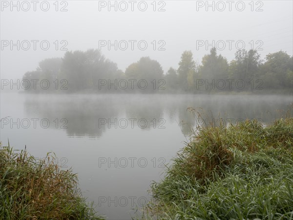 Allmendsee in the morning mist