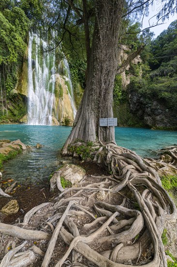 Minas viejas waterfalls