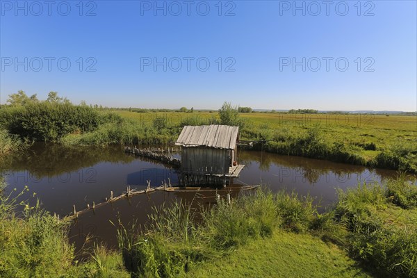 Federsee lake Museum