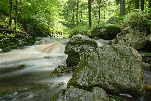 Stream course of the Hoegne