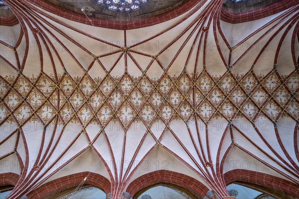 Ceiling vault from the northern aisle in St. Peter's Cathedral