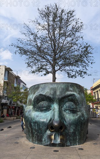 Arbol Adentro head statue