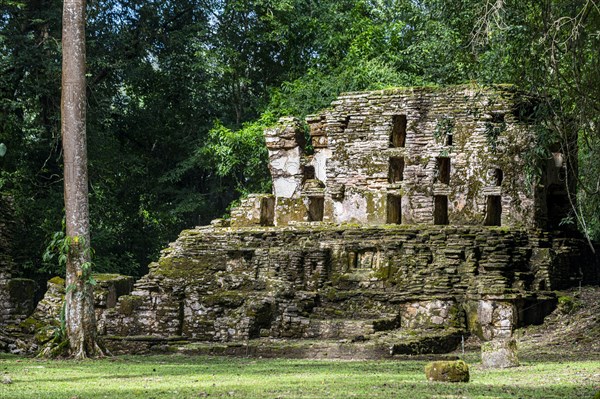 Archeological Maya site Yaxchilan in the jungle of Chiapas