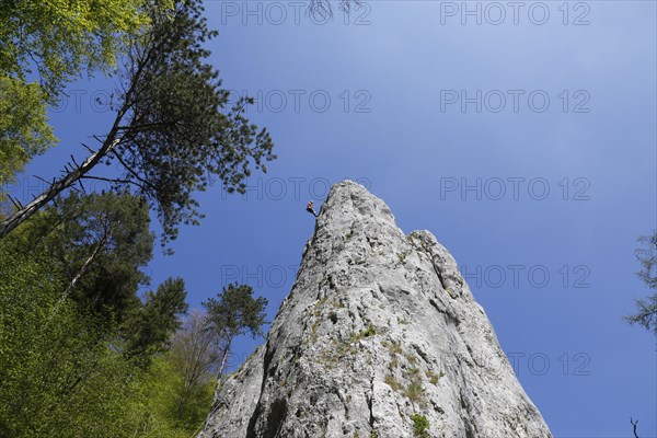 Climbing