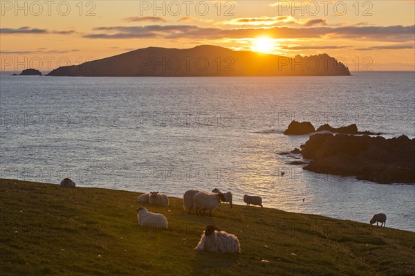 Sunset on the Great Blasket Islands