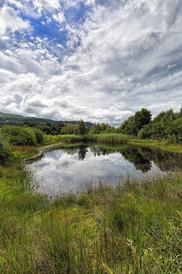 Pond in the UNESCO Dyfi Biosphere Reserve