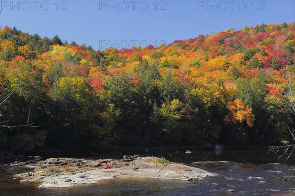 Red River in Autumn