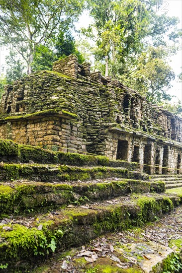 Archeological Maya site Yaxchilan in the jungle of Chiapas