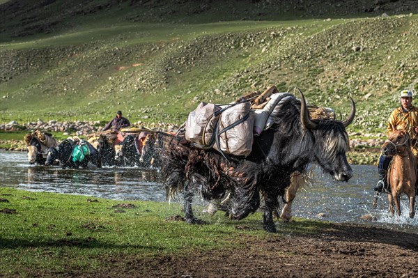 The nomadic family moves with yaks in the summer. Bayanhongor Province