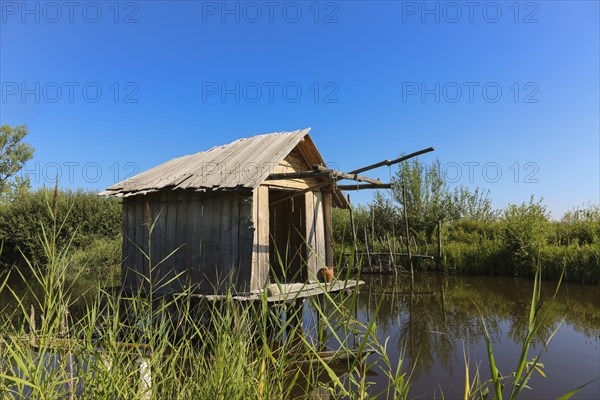 Federsee lake Museum