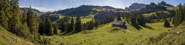 Alpine hut with well near Undergestele