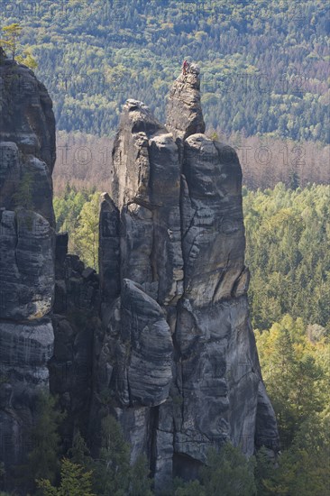 Brosinnadel at the Affensteinen