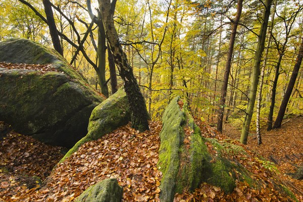 Autumn landscape