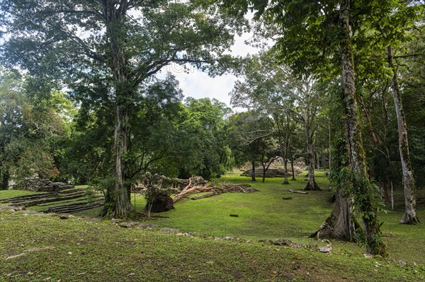 Archeological Maya site Yaxchilan in the jungle of Chiapas