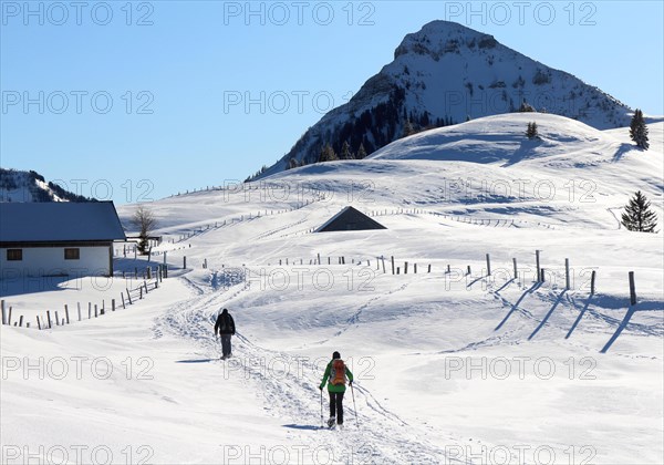 Snowshoe tour in wintry mountain landscape in fantastic weather