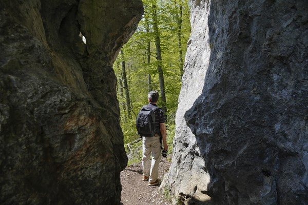 Rock labyrinth Blaubeuren