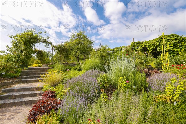 Stairs and rose arch in the Botanical Garden of the University of Ulm