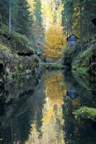 Autumn in the Edmundsklamm gorge with the river Kamenice