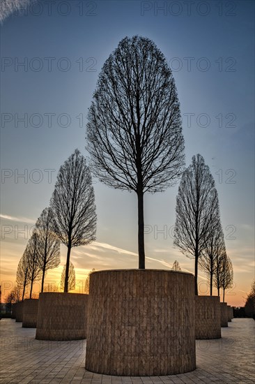 Park Galitskogo