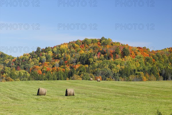 Autumn landscape in the Red River Region