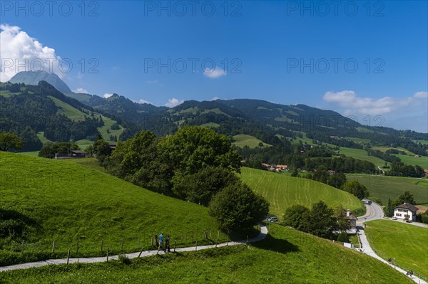 Mountains around the Gruyere castle