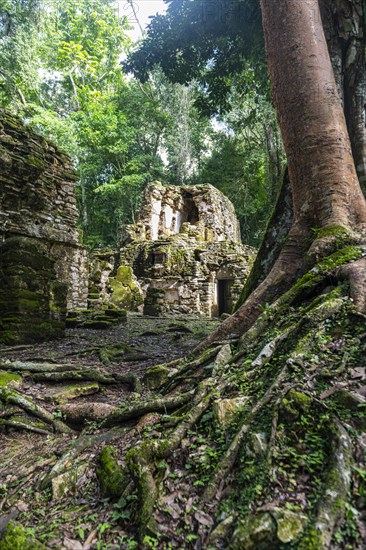 Archeological Maya site Yaxchilan in the jungle of Chiapas