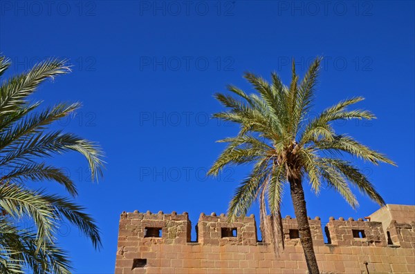 Castillo Marquez de los Velez in Cuevas del Almazora