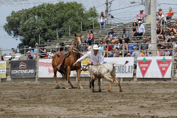 Rodeo competition