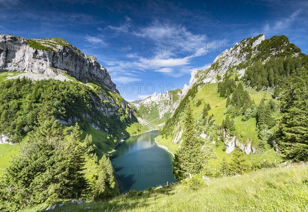 Mountain Lake Faelensee Photo12 imageBROKER Robert Haasmann