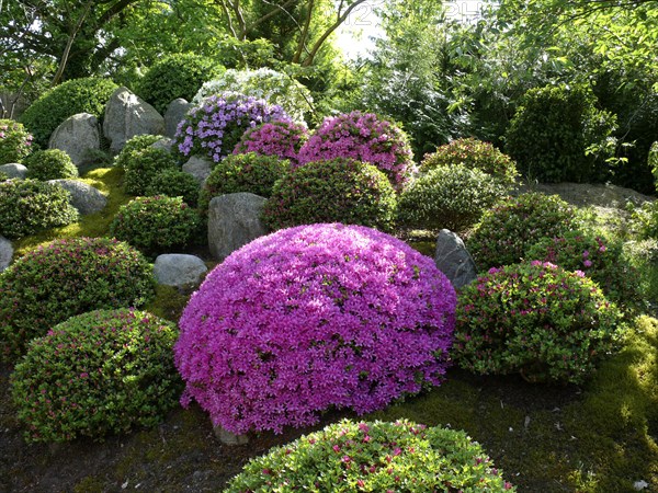 Japanese bonsai garden in Schwilowsee- OT. Ferch