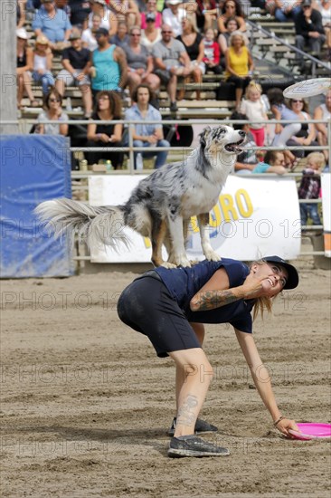 Flying dogs