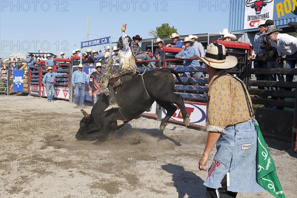 Rodeo competition