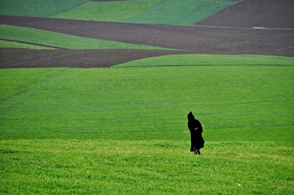 Graphic landscape with a shepherd in a black coat