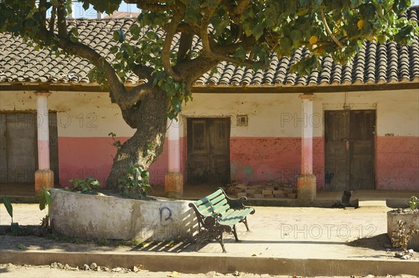 Bench under a tree in front of a colonial house