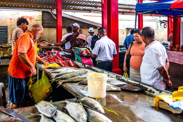 Fish sale at the market hall
