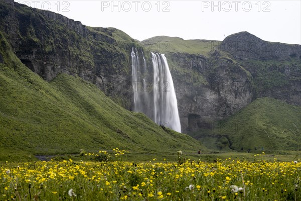 Seljalandsfoss waterfall