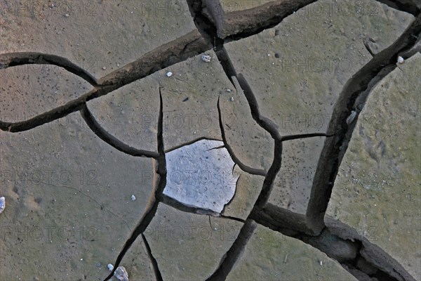 Parched soil with light stain