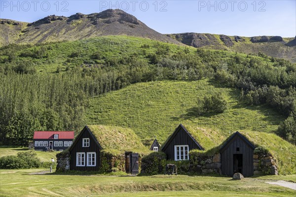 Traditional house