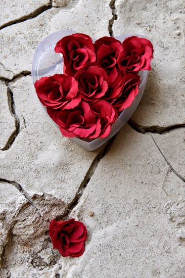 Heart-shaped plastic box with artificial roses on dry clay soil