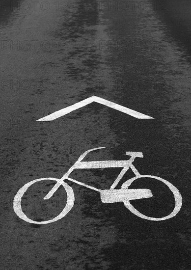 White cycle path marking on asphalt road