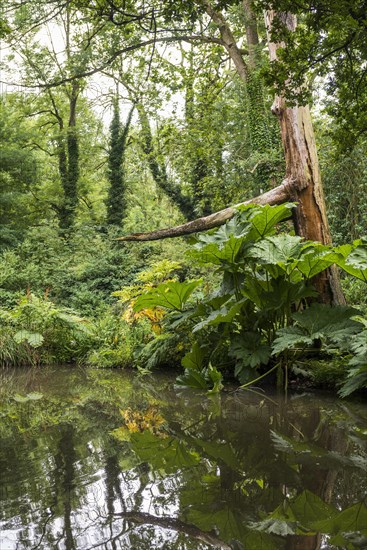 Floodplain landscape of the Erft