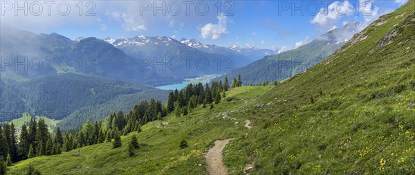 Panorama of green alpine pastures