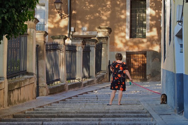 Woman walking dog from behind