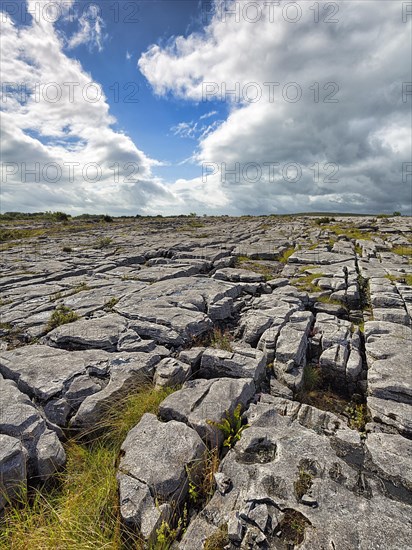 Bizarrely shaped limestone slabs on the hillside