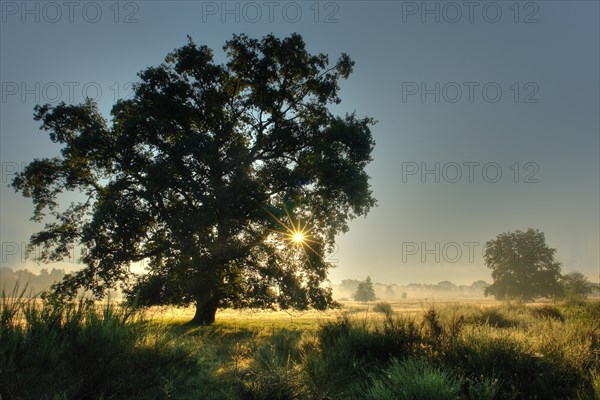 Half an hour in front of sunrise on a cold autumn morning in the Hainberg nature reserve near Fuerth.Middle Franconia in Bavaria. Germany