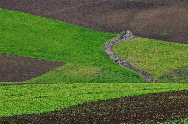 Asymmetrical landscape pattern